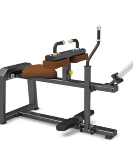 WK-462B Seated Calf Machine